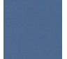 650 гр/м2 Тентовая ткань ПВХ (СИНИЙ RAL 5063)
